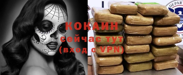 МДПВ Горнозаводск