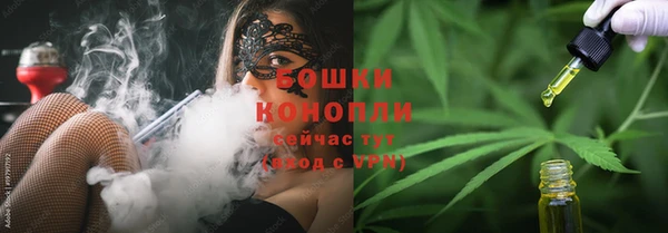 МДПВ Горнозаводск