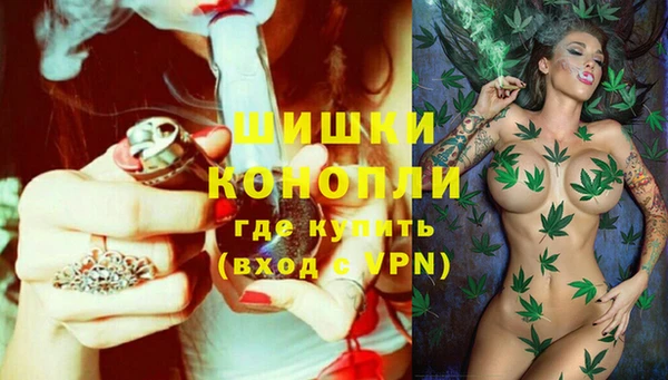 МДПВ Горнозаводск