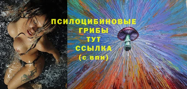 МДПВ Горнозаводск